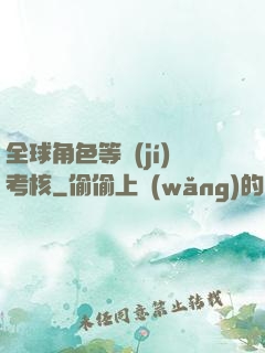 全球角色等級(jí)考核