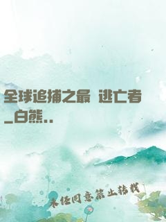 全球追捕之最強逃亡者