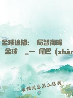 全球追捕：開局智商碾壓全球觀眾