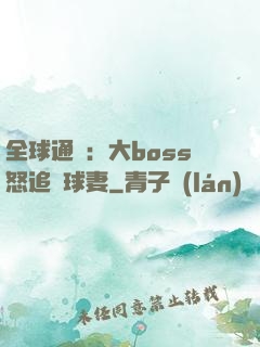 全球通緝：大boss怒追帶球妻