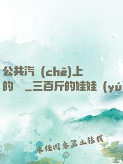 公共汽車(chē)上的輪桿