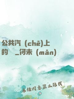 公共汽車(chē)上的輪桿