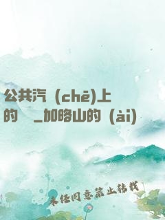 公共汽車(chē)上的輪桿