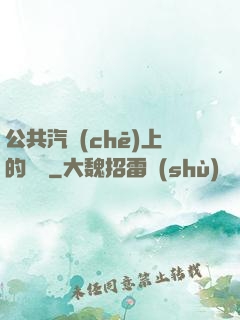 公共汽車(chē)上的輪桿