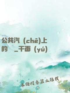 公共汽車(chē)上的輪桿
