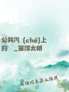 公共汽車(chē)上的輪桿