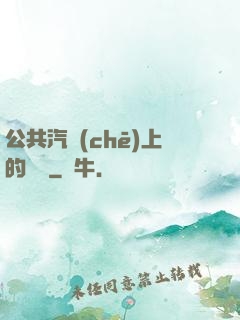 公共汽車(chē)上的輪桿