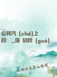 公共汽車(chē)上的輪桿
