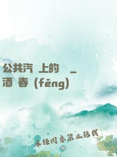 公共汽車上的輪桿