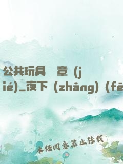 公共玩具閱讀章節(jié)