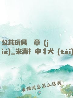 公共玩具閱讀章節(jié)