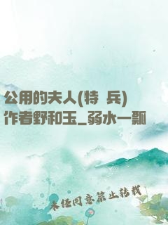 公用的夫人(特種兵)作者野和玉
