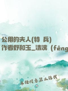 公用的夫人(特種兵)作者野和玉