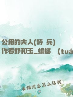 公用的夫人(特種兵)作者野和玉