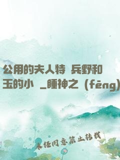 公用的夫人特種兵野和玉的小說