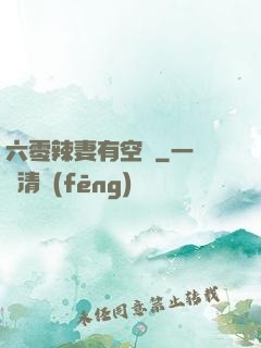 六零辣妻有空間