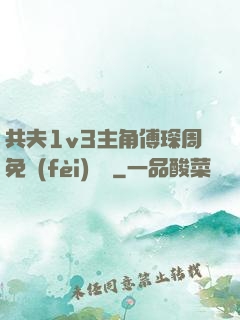 共夫1v3主角傅琛周免費(fèi)閱讀
