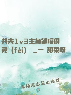 共夫1v3主角傅琛周免費(fèi)閱讀