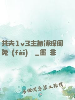 共夫1v3主角傅琛周免費(fèi)閱讀
