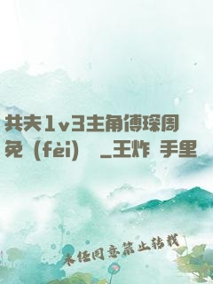 共夫1v3主角傅琛周免費(fèi)閱讀