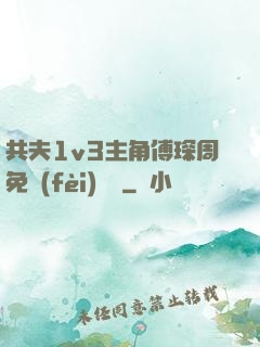 共夫1v3主角傅琛周免費(fèi)閱讀