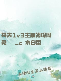 共夫1v3主角傅琛周免費閱讀