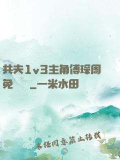 共夫1v3主角傅琛周免費閱讀