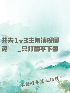 共夫1v3主角傅琛周免費閱讀