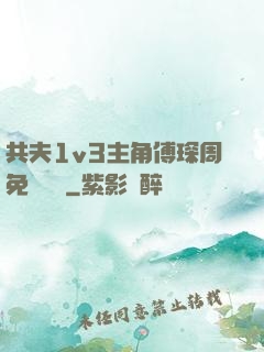 共夫1v3主角傅琛周免費閱讀