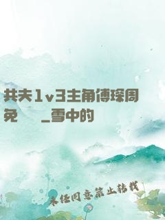 共夫1v3主角傅琛周免費閱讀