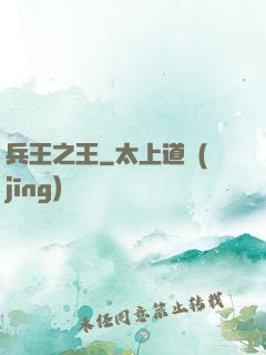 兵王之王