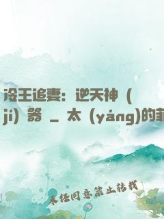 冷王追妻：逆天神級(jí)煉器師