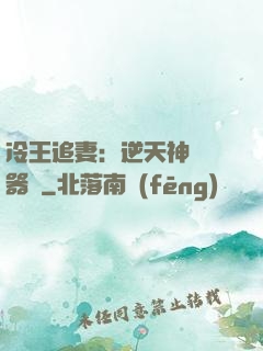 冷王追妻：逆天神級煉器師