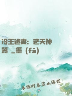 冷王追妻：逆天神級煉器師