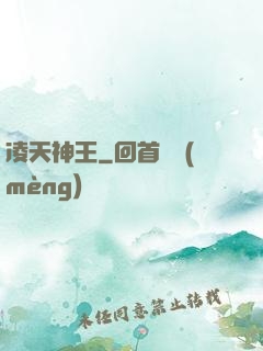 凌天神王