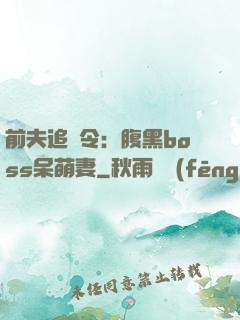前夫追緝令：腹黑boss呆萌妻