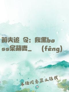 前夫追緝令：腹黑boss呆萌妻