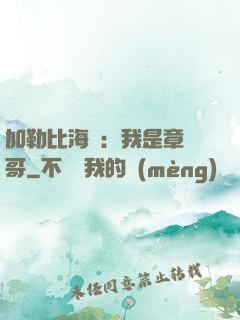 加勒比海盜：我是章魚哥