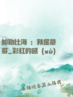 加勒比海盜：我是章魚哥