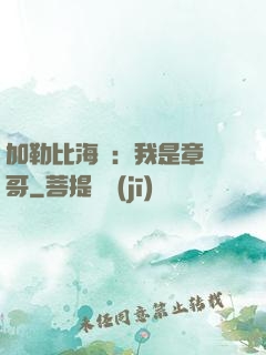 加勒比海盜：我是章魚哥