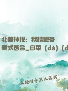 北美神探：我精通各種美式居合