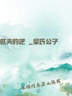 匹夫的逆襲