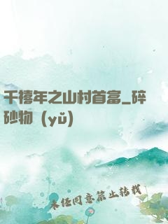 千禧年之山村首富