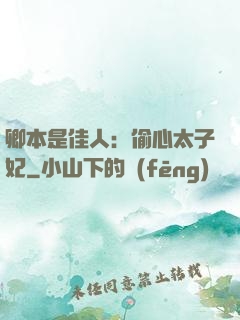 卿本是佳人：偷心太子妃