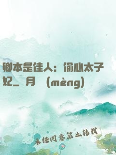 卿本是佳人：偷心太子妃