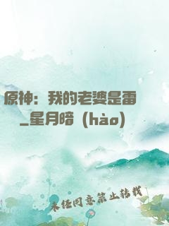 原神：我的老婆是雷電將軍