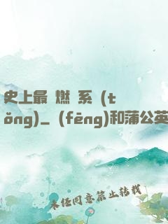 史上最強燃燒系統(tǒng)