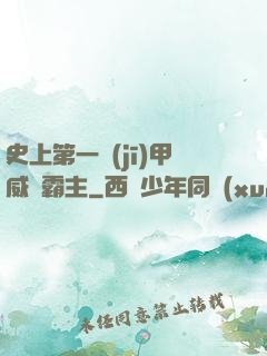 史上第一機(jī)甲威龍霸主