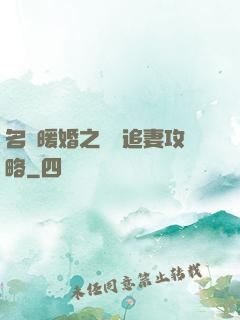 名門暖婚之權爺追妻攻略