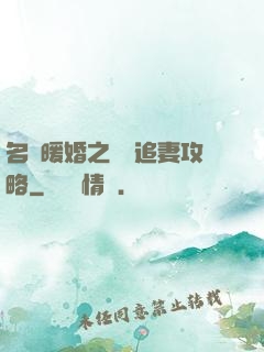 名門暖婚之權爺追妻攻略